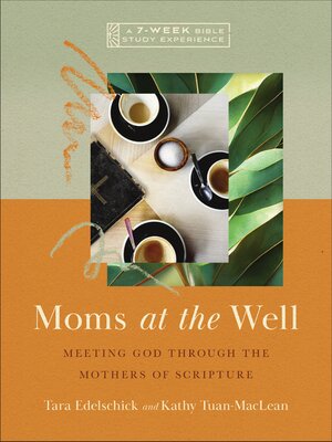 cover image of Moms at the Well
